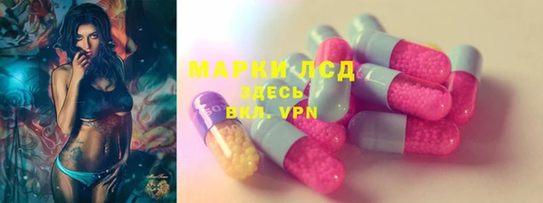 PSILOCYBIN Кукмор