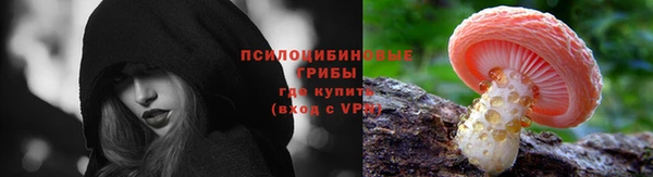 PSILOCYBIN Кукмор