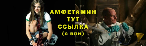 PSILOCYBIN Кукмор