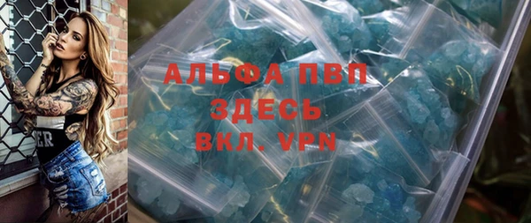 PSILOCYBIN Кукмор