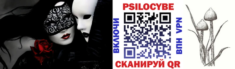 купить  сайты  Называевск  Псилоцибиновые грибы мицелий 